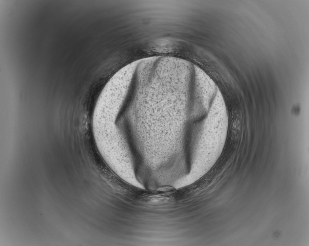 X0000097610555200803211725