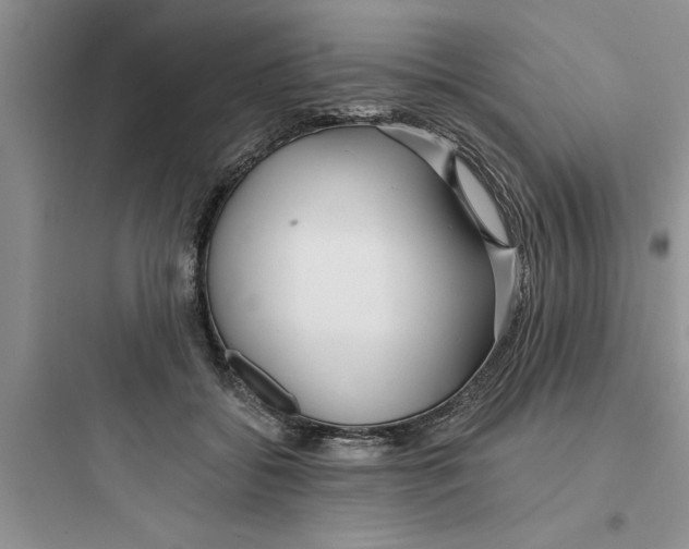 X0000097610556200803211725