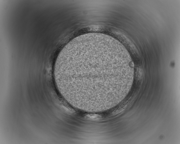 X0000097610557200803211725