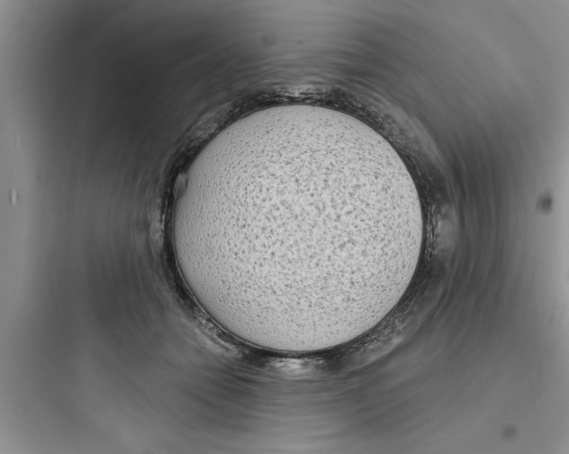 X0000097610558200803211725