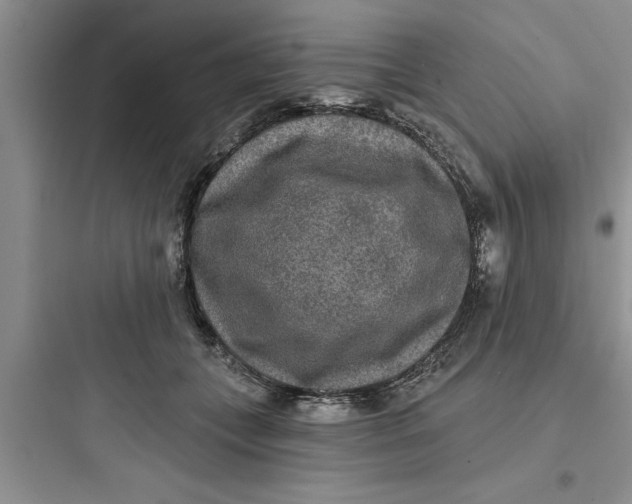 X0000097610559200803211725