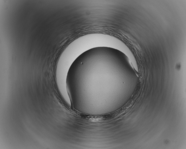 X0000097610560200803211725