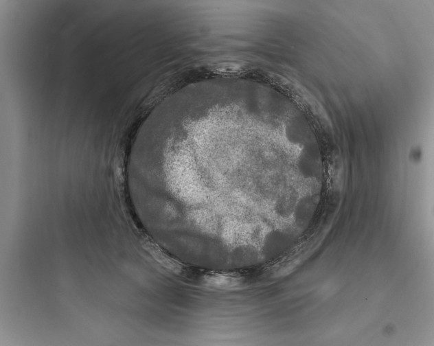 X0000097610561200803211725