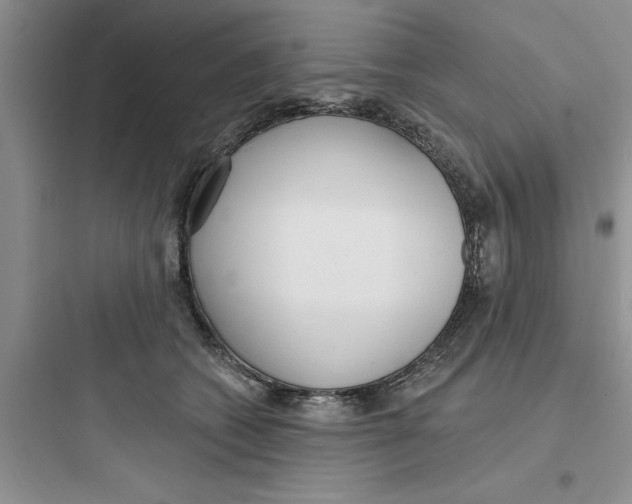 X0000097610562200803211725