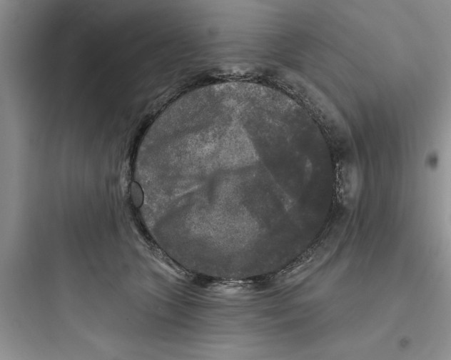 X0000097610563200803211725