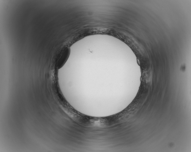 X0000097610564200803211725