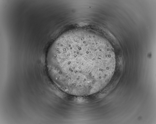 X0000097610565200803211725