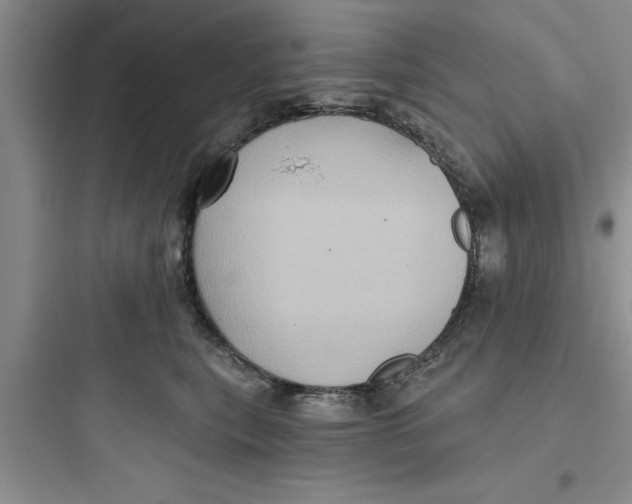 X0000097610567200803211725