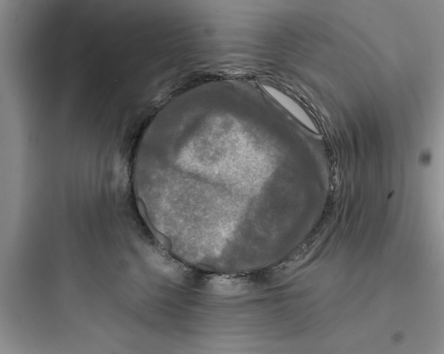 X0000097610568200803211725