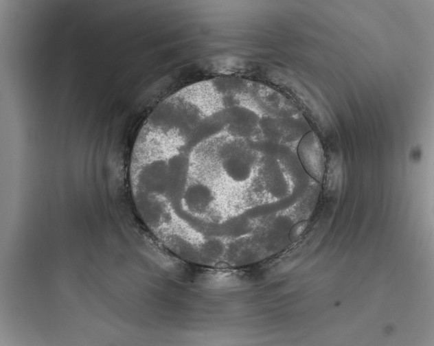 X0000097610569200803211725