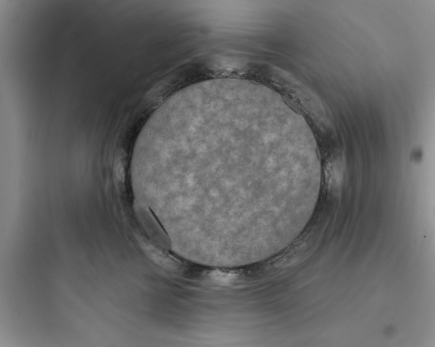 X0000097610570200803211725