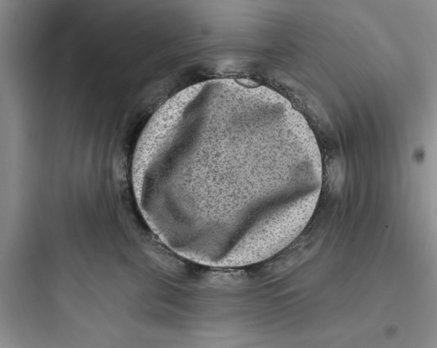 X0000097610571200803211725