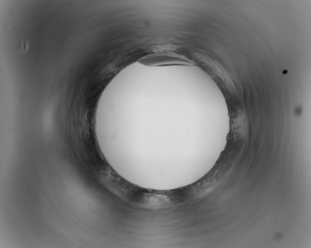 X0000097610572200803211725