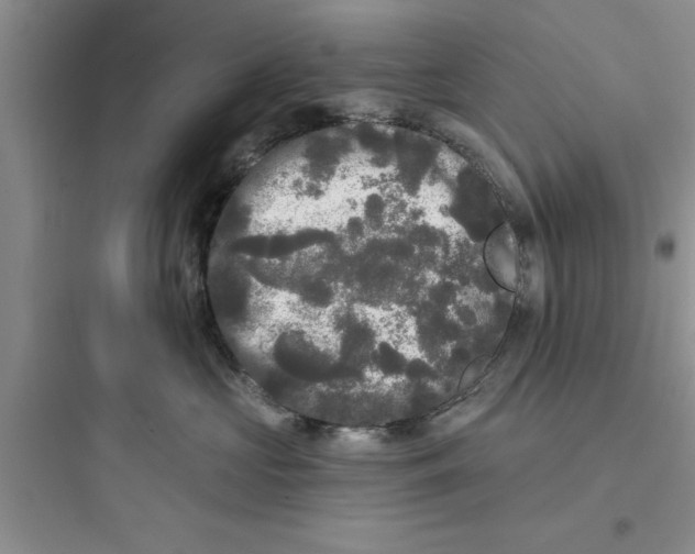 X0000097610573200803211725