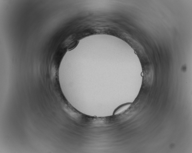 X0000097610574200803211725