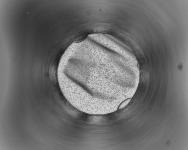 X0000097610575200803211725