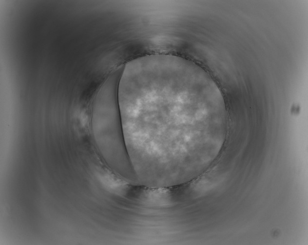 X0000097610576200803211725