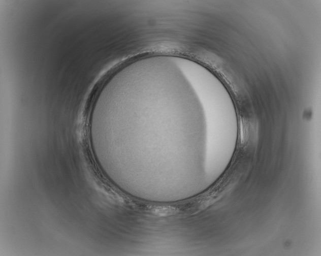 X0000097610579200803211725