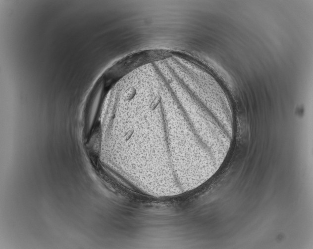 X0000097610580200803211725