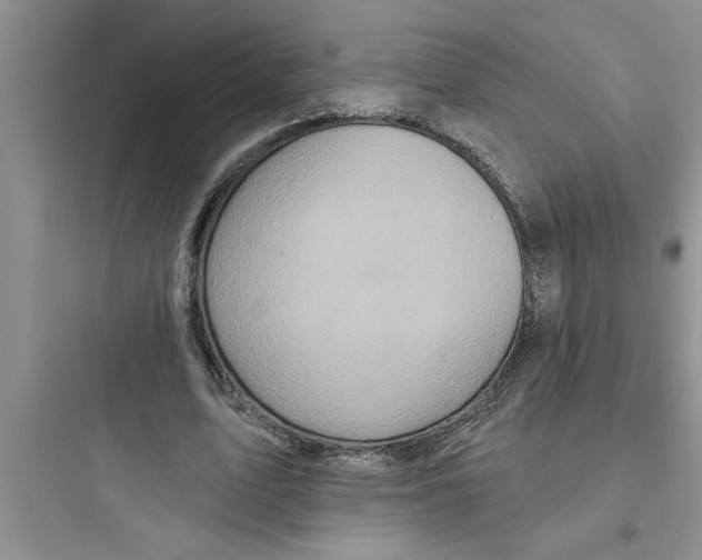 X0000097610583200803211725