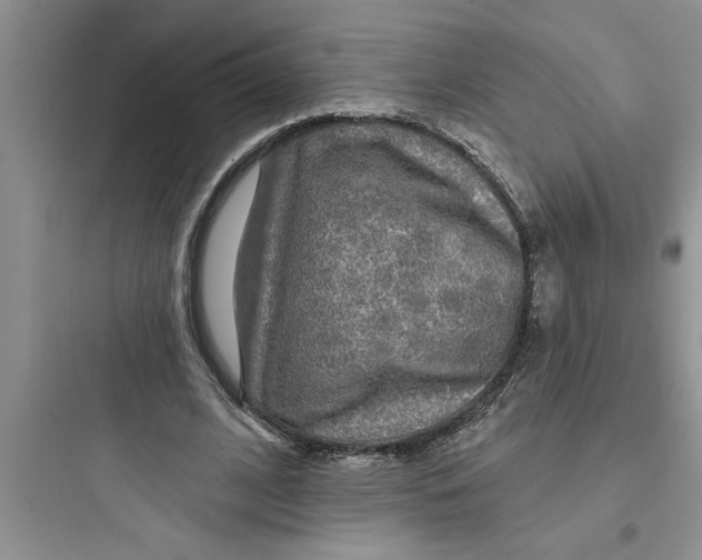 X0000097610584200803211725