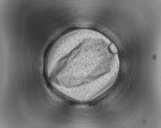 X0000097610586200803211725