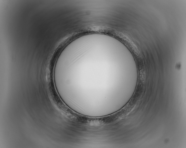 X0000097610587200803211725