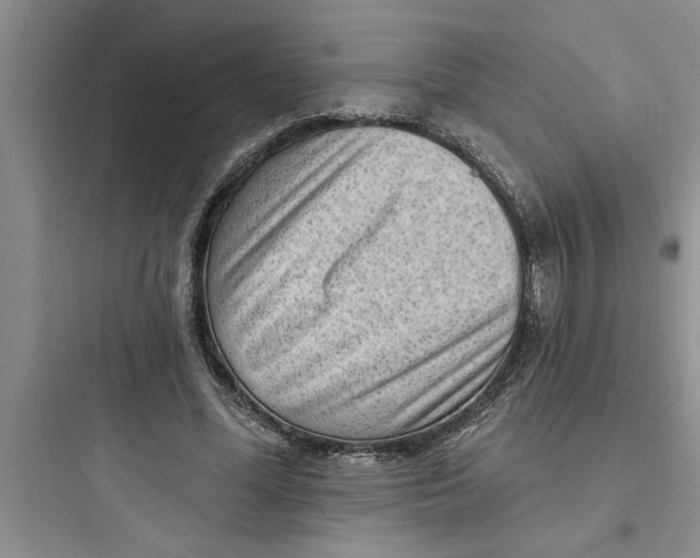 X0000097610588200803211725