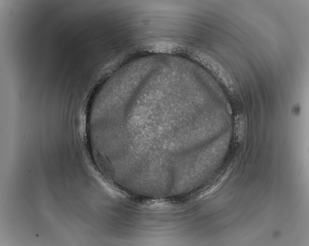 X0000097610589200803211725