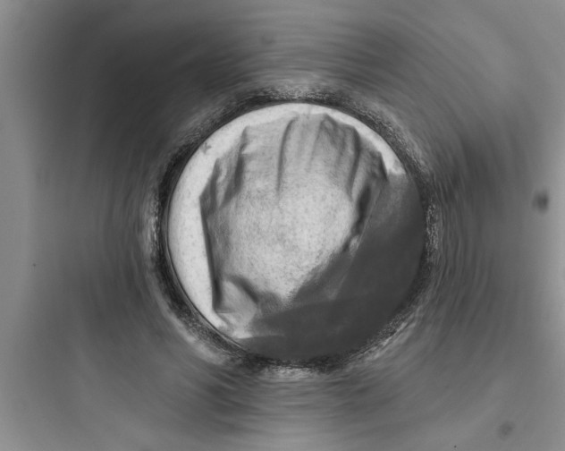 X0000097610590200803211724