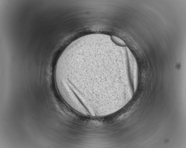 X0000097610592200803211724