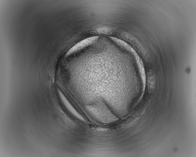 X0000097610593200803211724