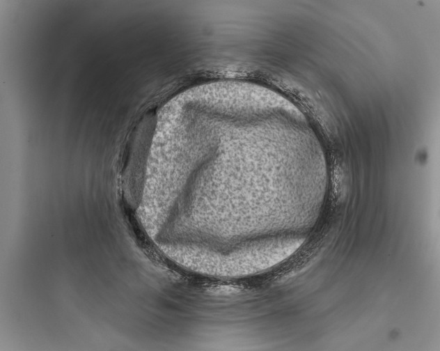 X0000097610594200803211724