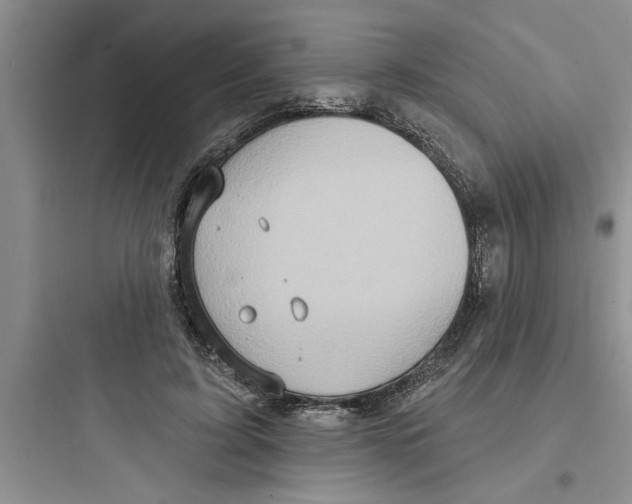 X0000097610595200803211724