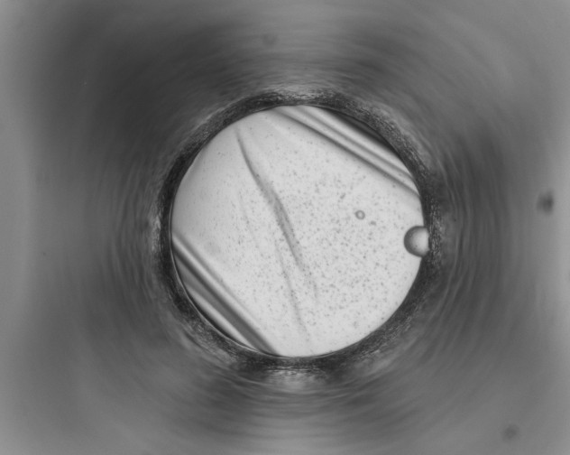 X0000097610596200803211724