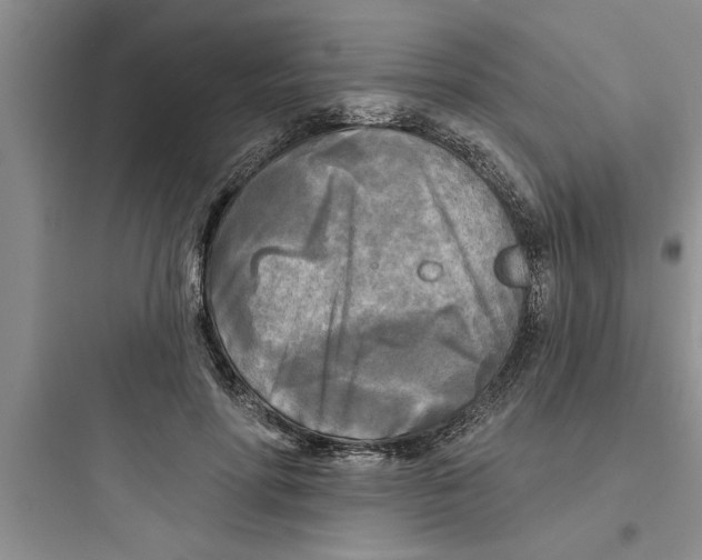 X0000097610598200803211724