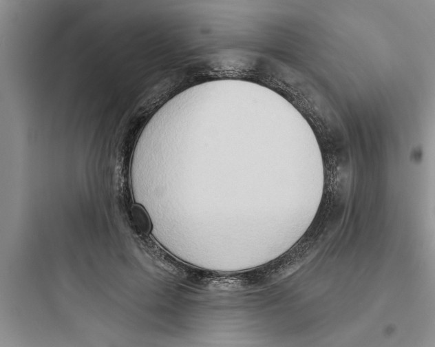 X0000097610599200803211724