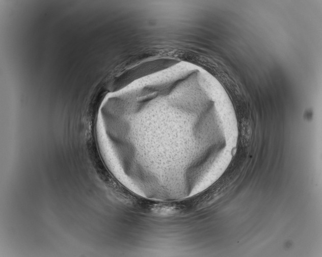 X0000097610602200803211724