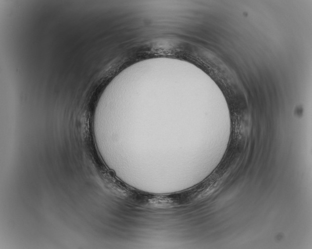 X0000097610603200803211724