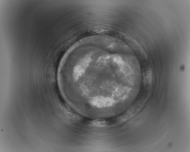 X0000097610606200803211724