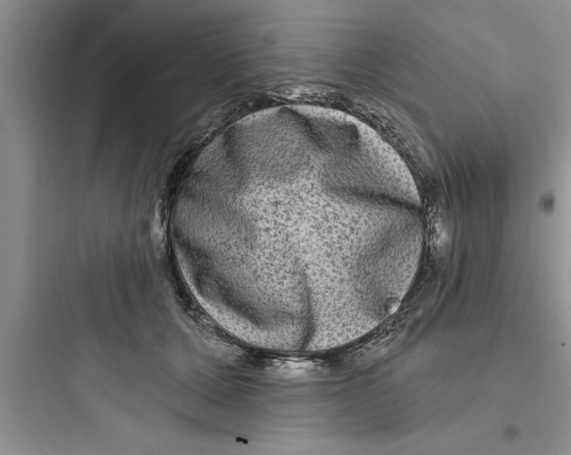 X0000097610607200803211724