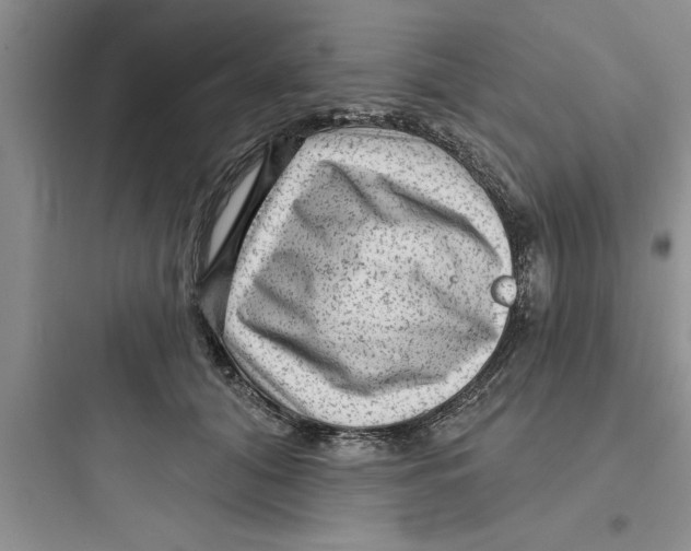 X0000097610608200803211724