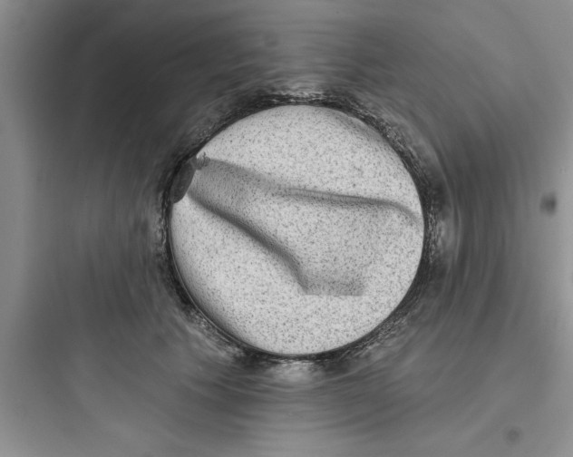 X0000097610609200803211724