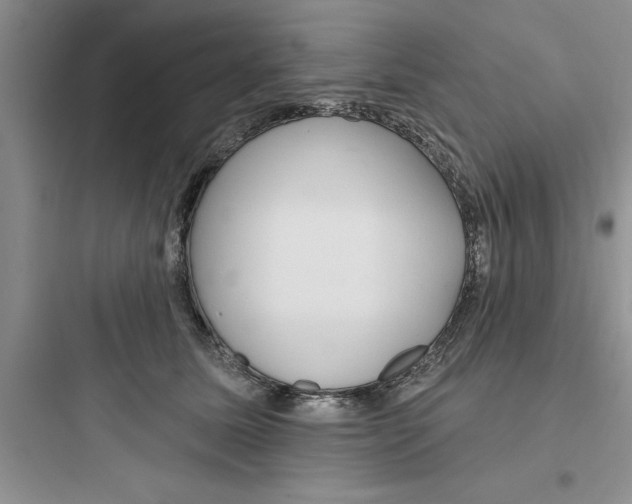 X0000097610611200803211724