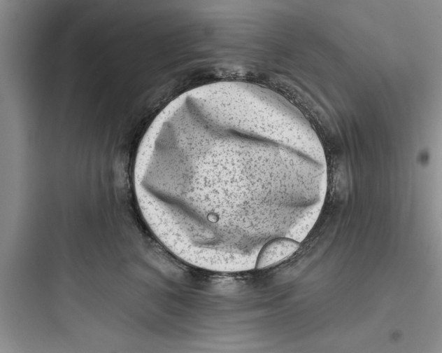 X0000097610616200803211724