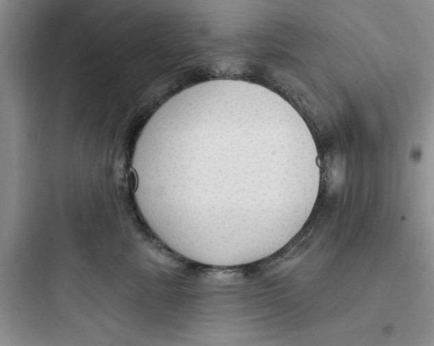 X0000097610619200803211724