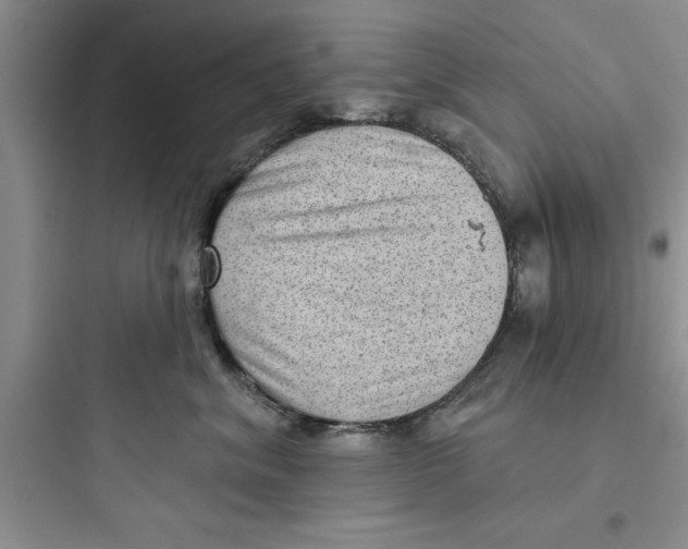 X0000097610620200803211724