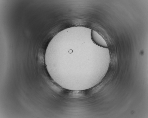 X0000097610622200803211724