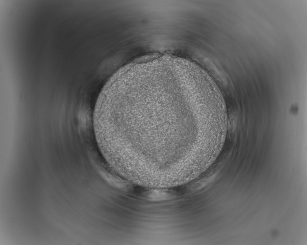 X0000097610623200803211724