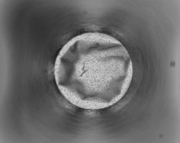 X0000097610624200803211724